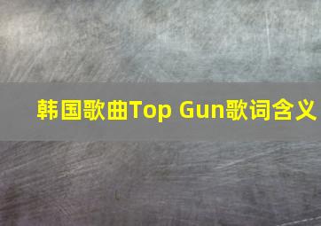 韩国歌曲Top Gun歌词含义